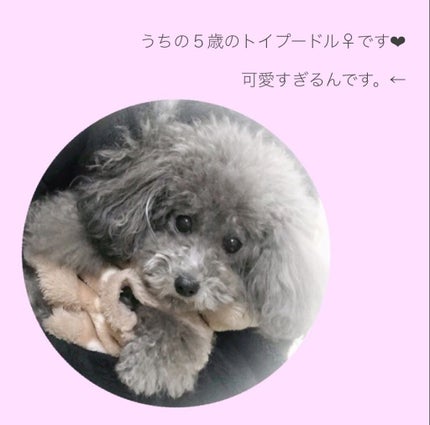 ガラクナイアシン2.0エッセンス/manyo/美容液を使ったクチコミ(4枚目)