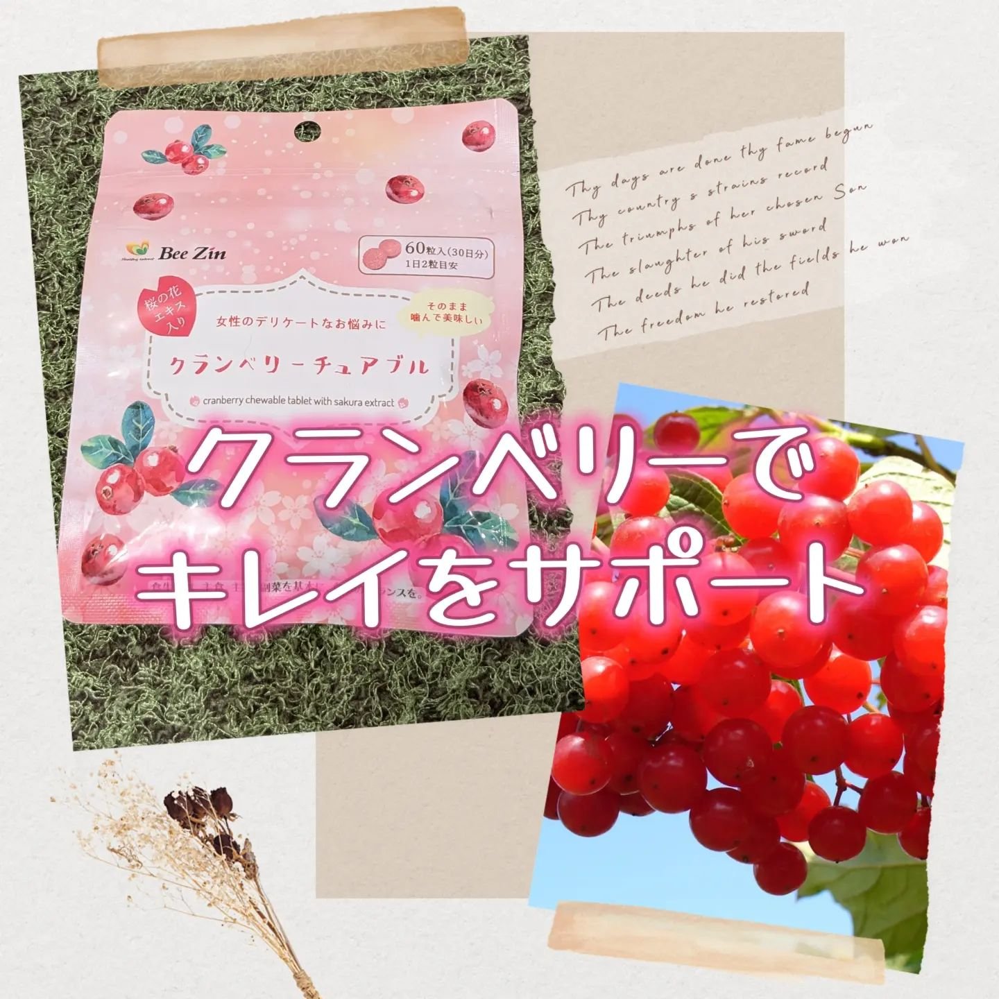 クランベリーチュアブル/Bee Zin/健康サプリメントを使ったクチコミ（1枚目）