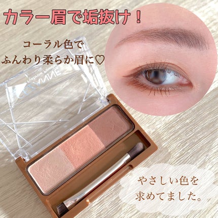 ノーズ&アイブロウパウダー/CEZANNE/パウダーアイブロウを使ったクチコミ(2枚目)