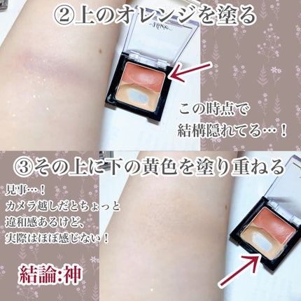 リシェ レッドトリック アイコンシーラー/Visée/パレットコンシーラーを使ったクチコミ(4枚目)