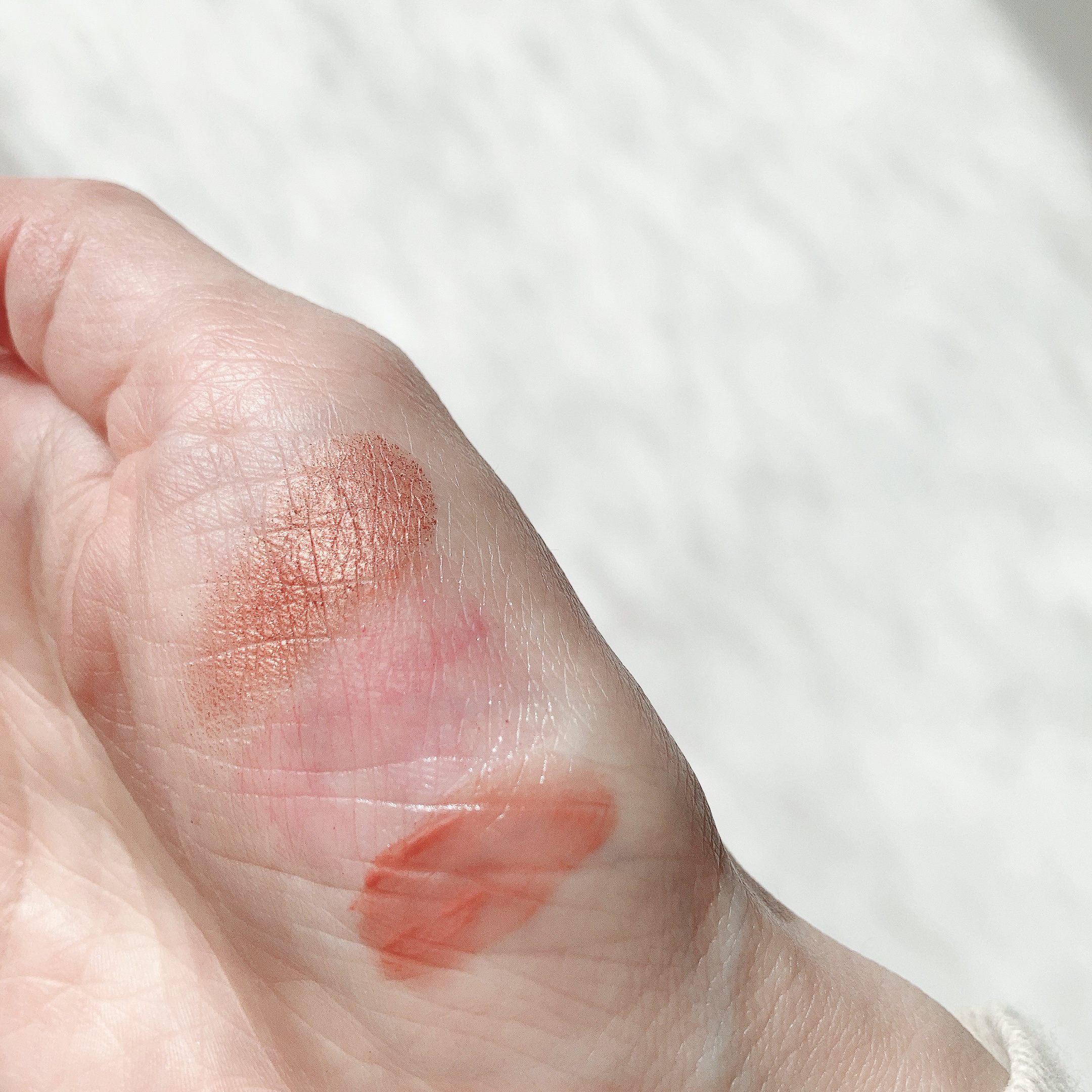 ワンデイ アートメイク ルージュ 05 Peach Beige/FASIO/口紅を使ったクチコミ（2枚目）