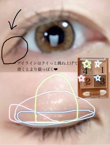 TOPARDS 1day/TOPARDS/ワンデー(1DAY)カラコンを使ったクチコミ(3枚目)