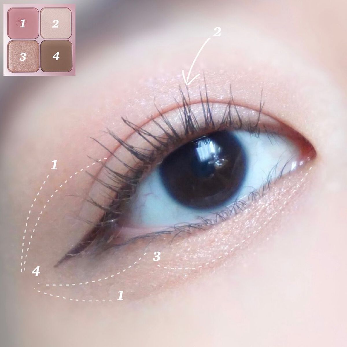 カカオフレンズ プレイカラーアイズ /ETUDE/アイシャドウパレットを使ったクチコミ(4枚目)