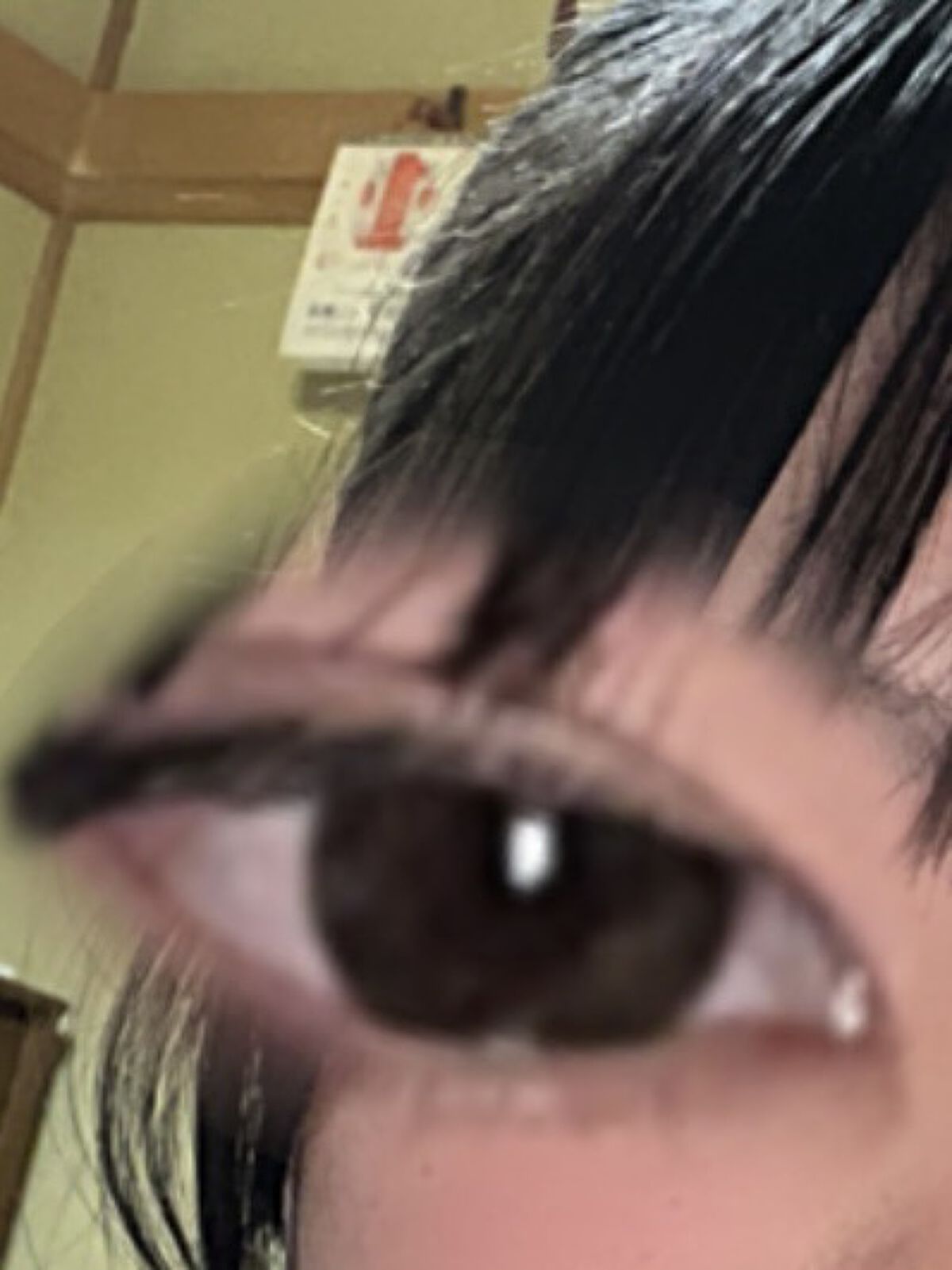 Marble by LUXURY(マーブルバイラグジュアリー）1day/Marble by LUXURY/ワンデー（１DAY）カラコンを使ったクチコミ（1枚目）