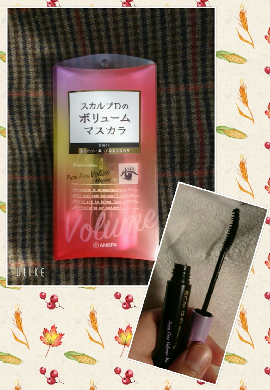スカルプD ボーテ ピュアフリーボリュームマスカラ/アンファー(スカルプD)/マスカラを使ったクチコミ（1枚目）