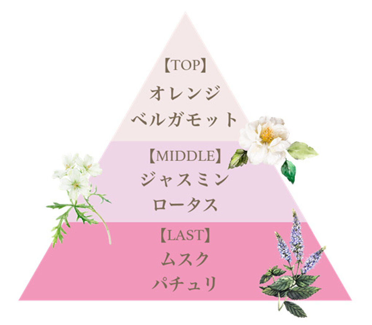 フレグランスリッチハンドクリーム フローレットダリアンセ/フェルナンダ/ハンドクリームを使ったクチコミ（2枚目）