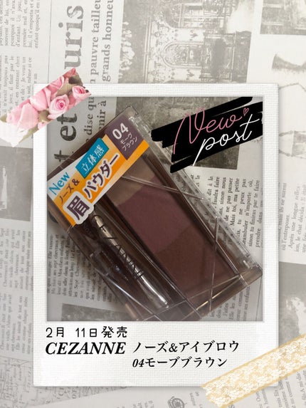 パウダーアイブロウR/CEZANNE/パウダーアイブロウを使ったクチコミ(1枚目)