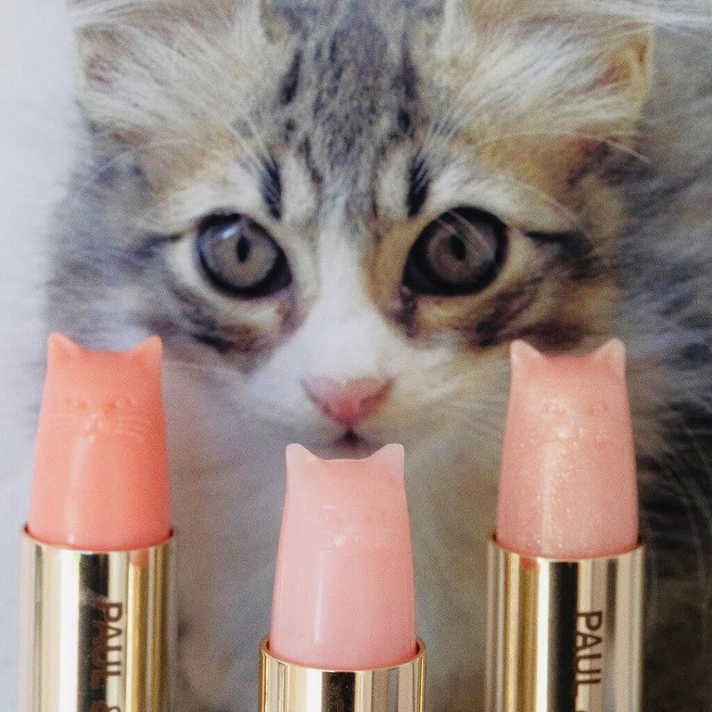 リキッドルージュ シャイン(1/5新発売)/PAUL & JOE BEAUTE/口紅を使ったクチコミ（2枚目）