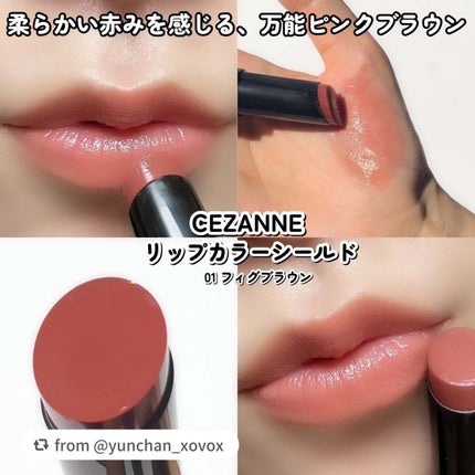リップカラーシールド/CEZANNE/口紅を使ったクチコミ(4枚目)