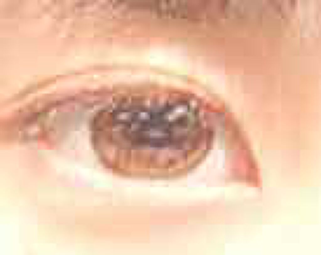 メジカライナー ナイト＆ハード/シェモア/二重まぶた用アイテムを使ったクチコミ（3枚目）