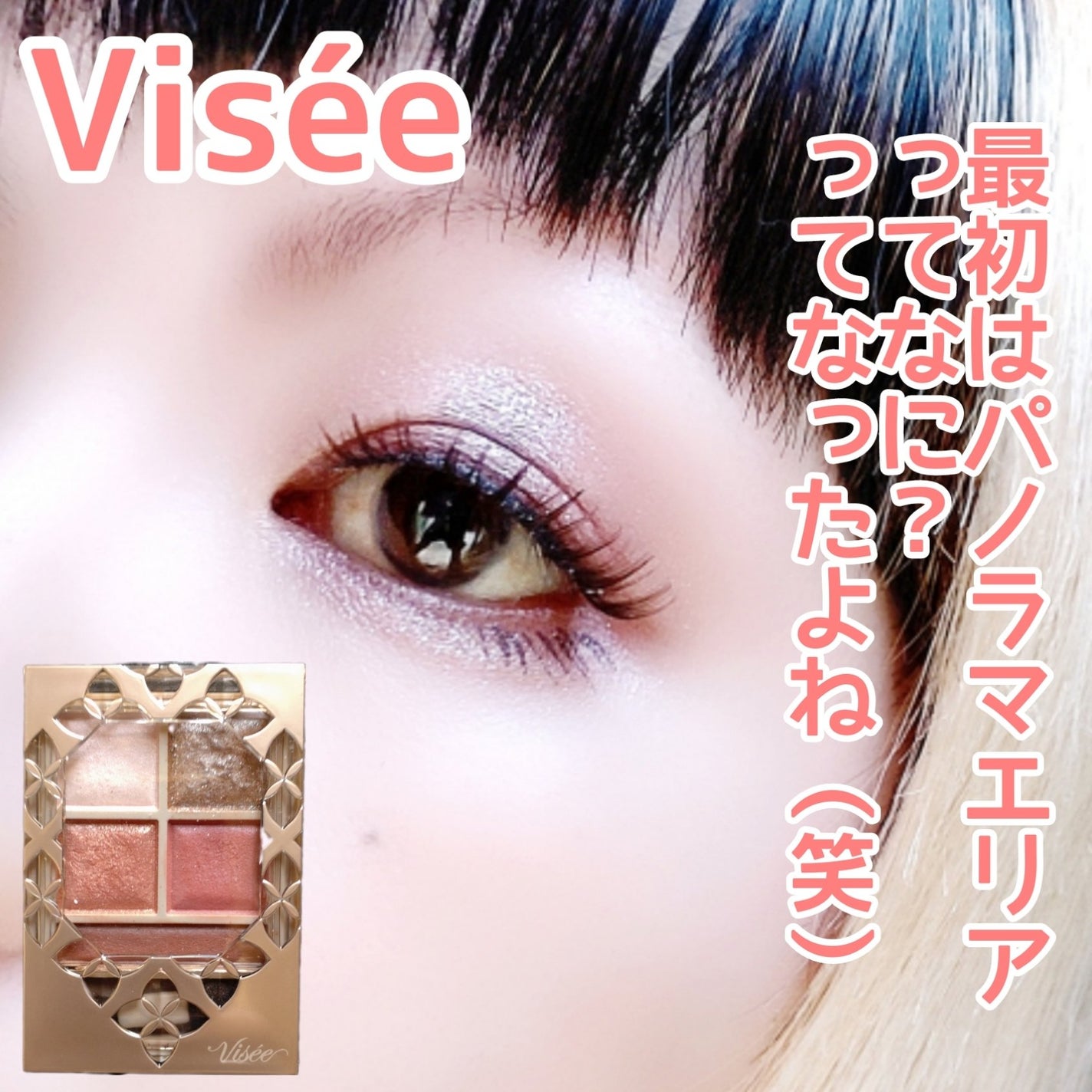 パノラマデザイン アイパレット/Visée/アイシャドウパレットを使ったクチコミ(1枚目)