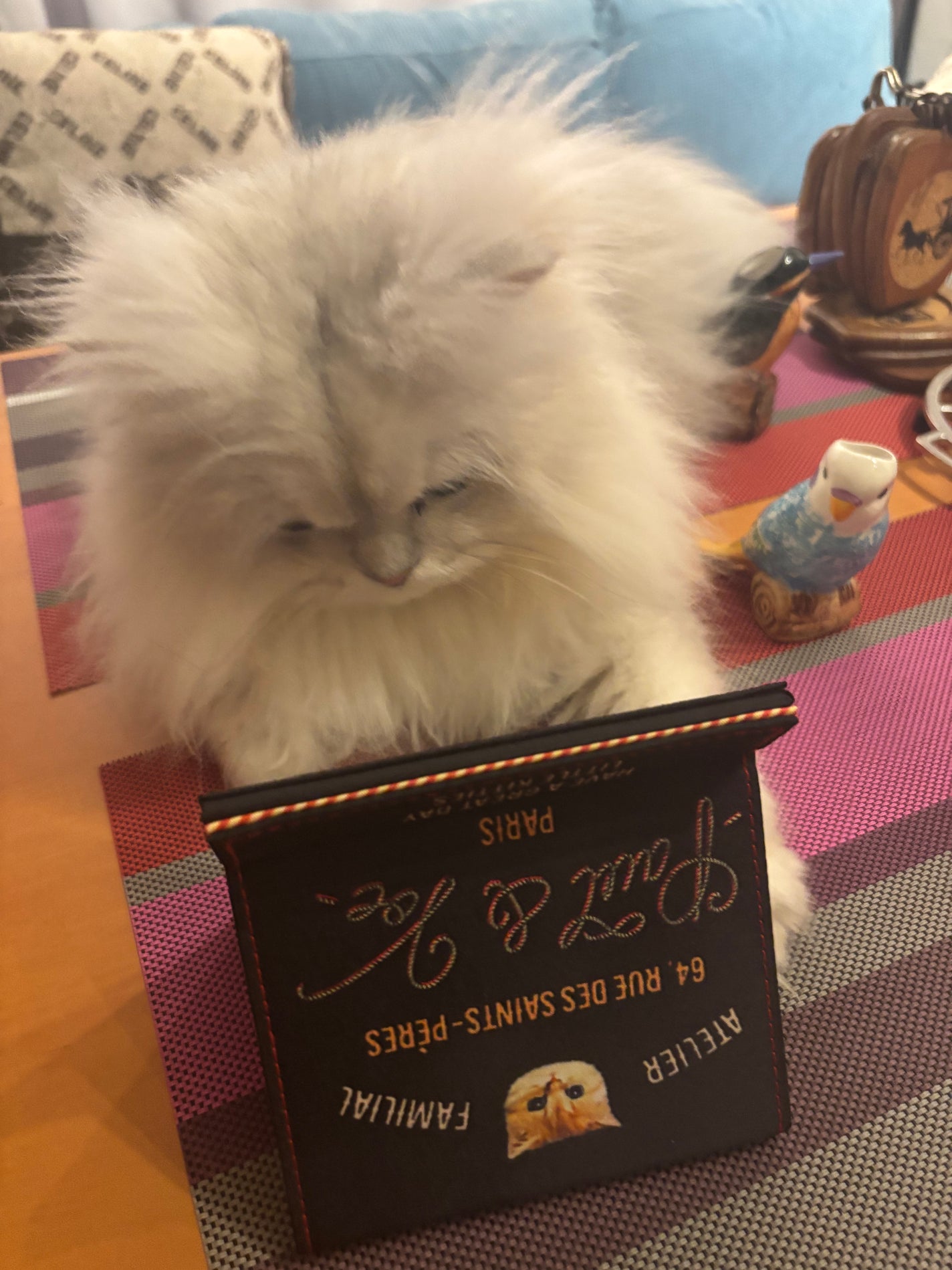 666Anonymous666 on LIPS 「#見とれる俺達#同じ猫達#嫉妬で噛むポール牧じゃなくて(古いに..」(5枚目)