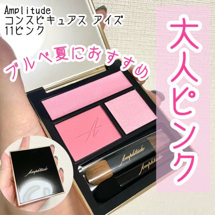 コンスピキュアス アイズ/Amplitude/アイシャドウパレットを使ったクチコミ(1枚目)