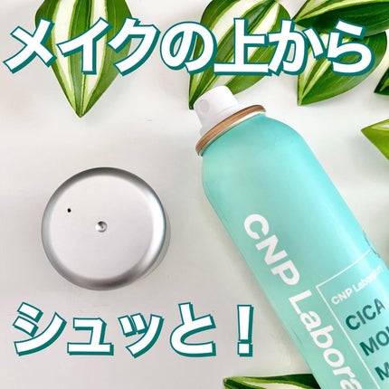 プロP ミスト/CNP Laboratory/ミスト状化粧水を使ったクチコミ(6枚目)