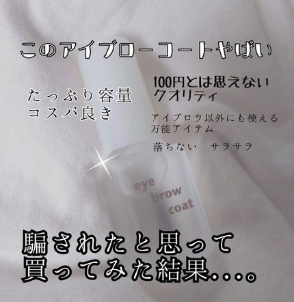 エバビレーナ アイブローコート/DAISO/アイブロウコートを使ったクチコミ(1枚目)