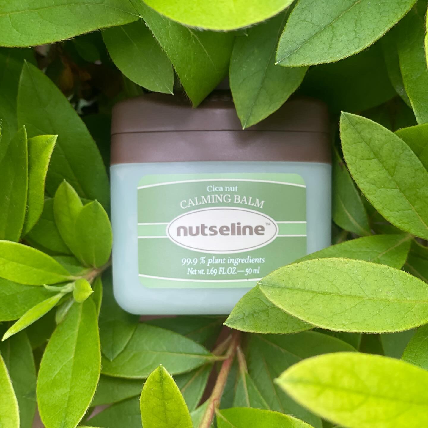 cica nut calming balm/ナッツセリン/フェイスバームを使ったクチコミ（1枚目）