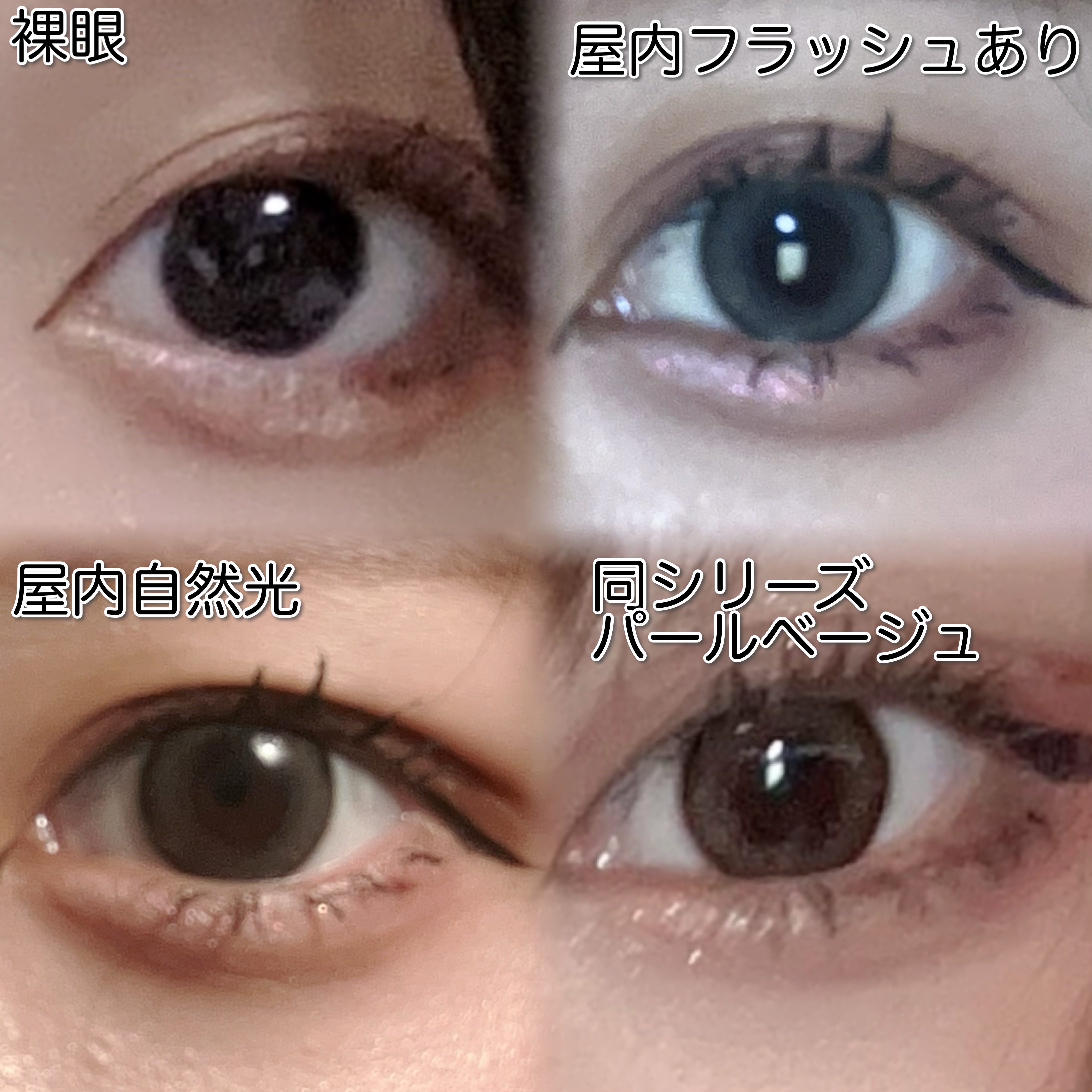 エバーカラーマンスリー パールスノーグレー/エバーカラー/１ヶ月（１MONTH）カラコンを使ったクチコミ（3枚目）