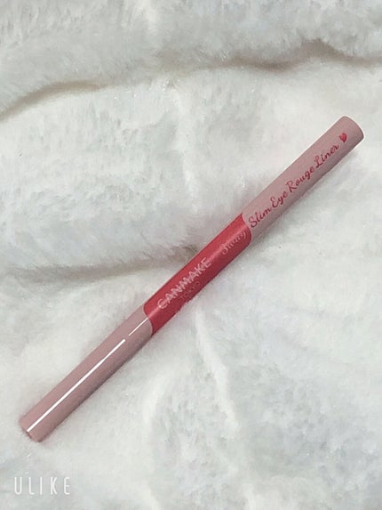 3wayスリムアイルージュライナー/キャンメイク/リキッドアイライナーを使ったクチコミ(2枚目)