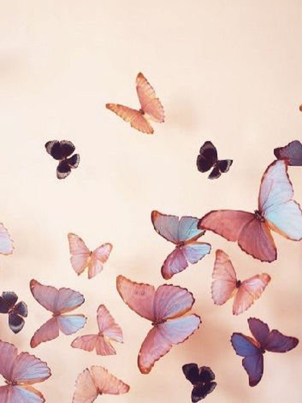 アイラッシュセラム/THE STEM CELL/まつげ美容液を使ったクチコミ(5枚目)