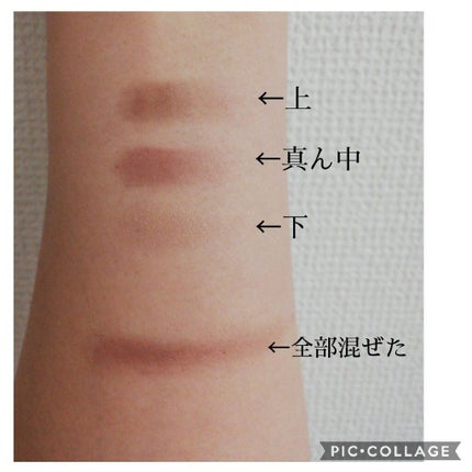 ヴィセ リシェ アイブロウパウダー/Visée/パウダーアイブロウを使ったクチコミ(5枚目)