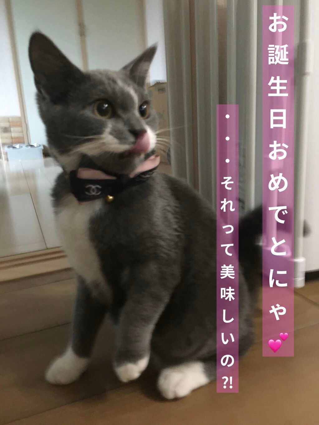 チャンス オー タンドゥル ヘア ミスト/CHANEL/ヘアミストを使ったクチコミ(3枚目)