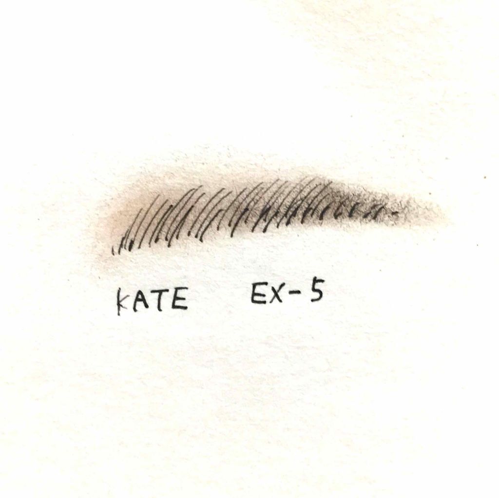 ケイト デザイニングアイブロウ3D/KATE/パウダーアイブロウを使ったクチコミ（2枚目）