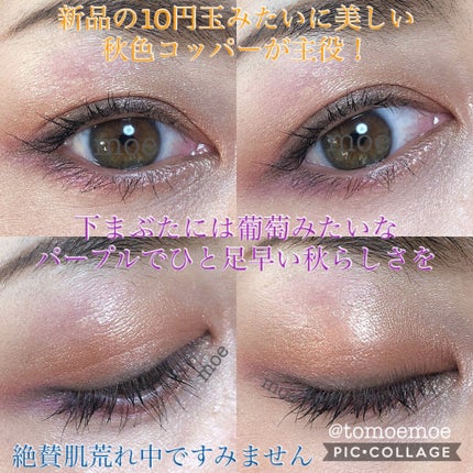 デザイニング カラー アイズ/SUQQU/アイシャドウパレットを使ったクチコミ(2枚目)