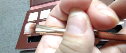 エクスプローラ12色 動物アイシャドウパレット/PERFECT DIARY/アイシャドウパレットを使ったクチコミ(5枚目)