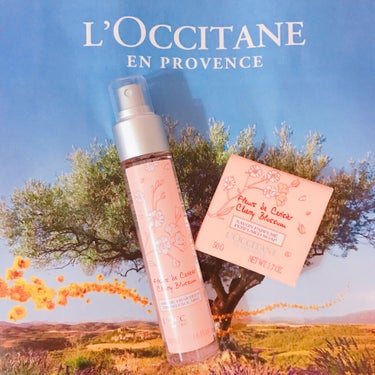 チェリーブロッサム フレグランスミスト/L'OCCITANE/香水(その他)を使ったクチコミ（5枚目）