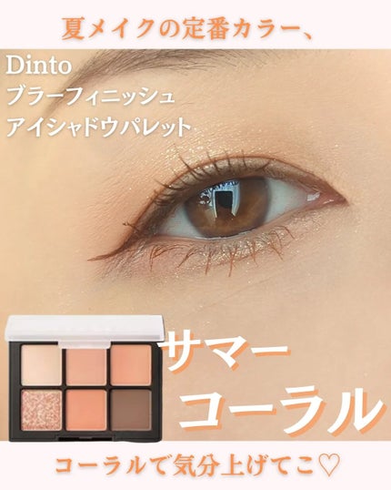 ブラーフィニシュシャドウパレット/Dinto/アイシャドウパレットを使ったクチコミ(1枚目)