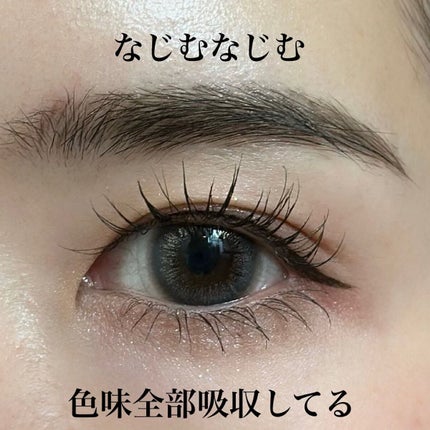 シルキースフレアイズ(マットタイプ)/キャンメイク/アイシャドウパレットを使ったクチコミ(6枚目)