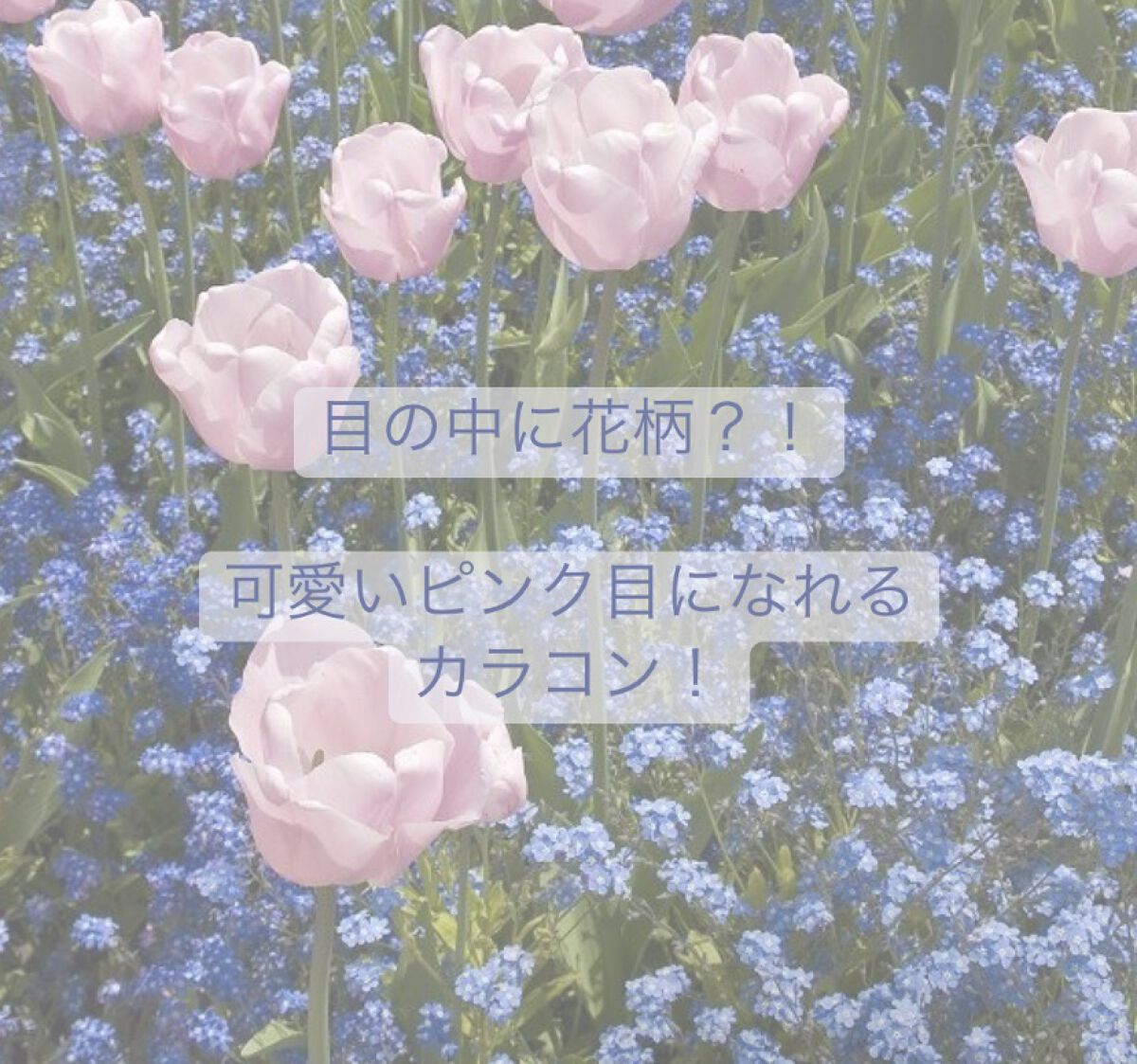 JILL STUART 1day UV フローラル ピンク/JILL STUART/ワンデー（１DAY）カラコンを使ったクチコミ（1枚目）