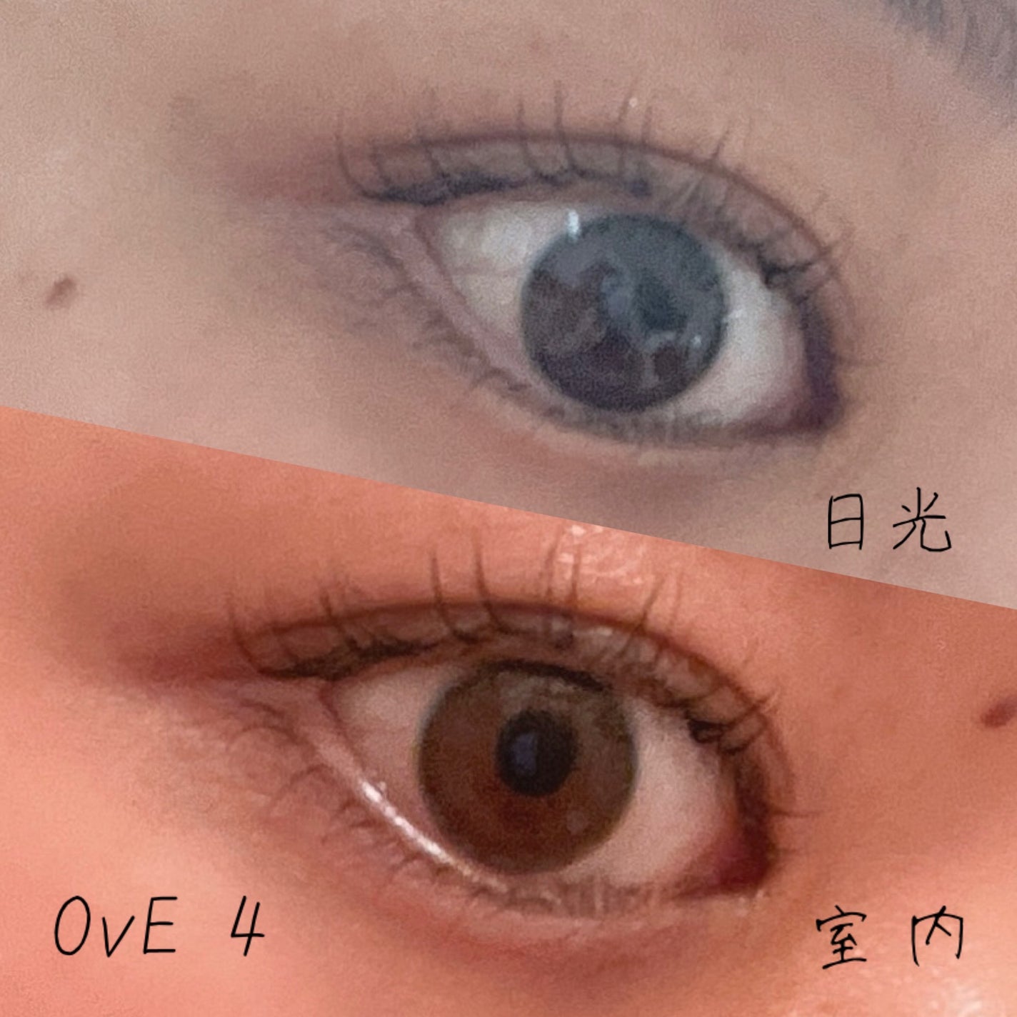 OvE(オヴィ) 1day/OvE/ワンデー(1DAY)カラコンを使ったクチコミ(2枚目)