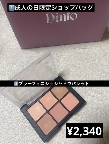 ブラーフィニシュシャドウパレット/Dinto/アイシャドウパレットを使ったクチコミ(3枚目)