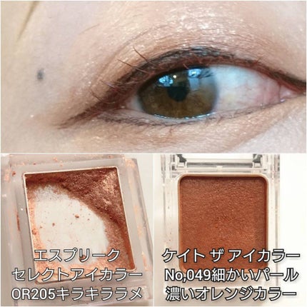セレクト アイカラー N/ESPRIQUE/単色アイシャドウを使ったクチコミ(3枚目)