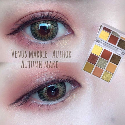 VenusMarble 9色アイシャドウパレット/Venus Marble/アイシャドウパレットを使ったクチコミ(1枚目)