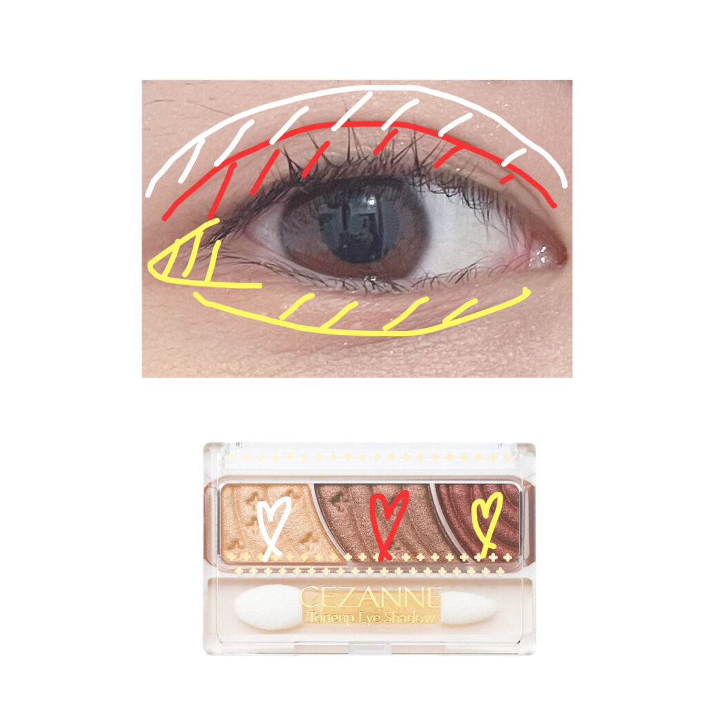 トーンアップアイシャドウ/CEZANNE/アイシャドウパレットを使ったクチコミ（2枚目）