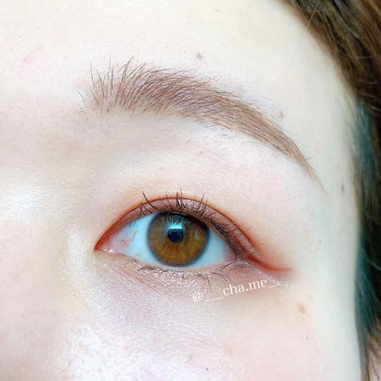 リュクスアイシャドウ/BOBBI BROWN/単色アイシャドウを使ったクチコミ(2枚目)