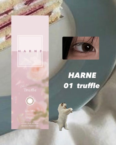 HARNE 1day トリュフ/HARNE/ワンデー（１DAY）カラコンを使ったクチコミ（1枚目）