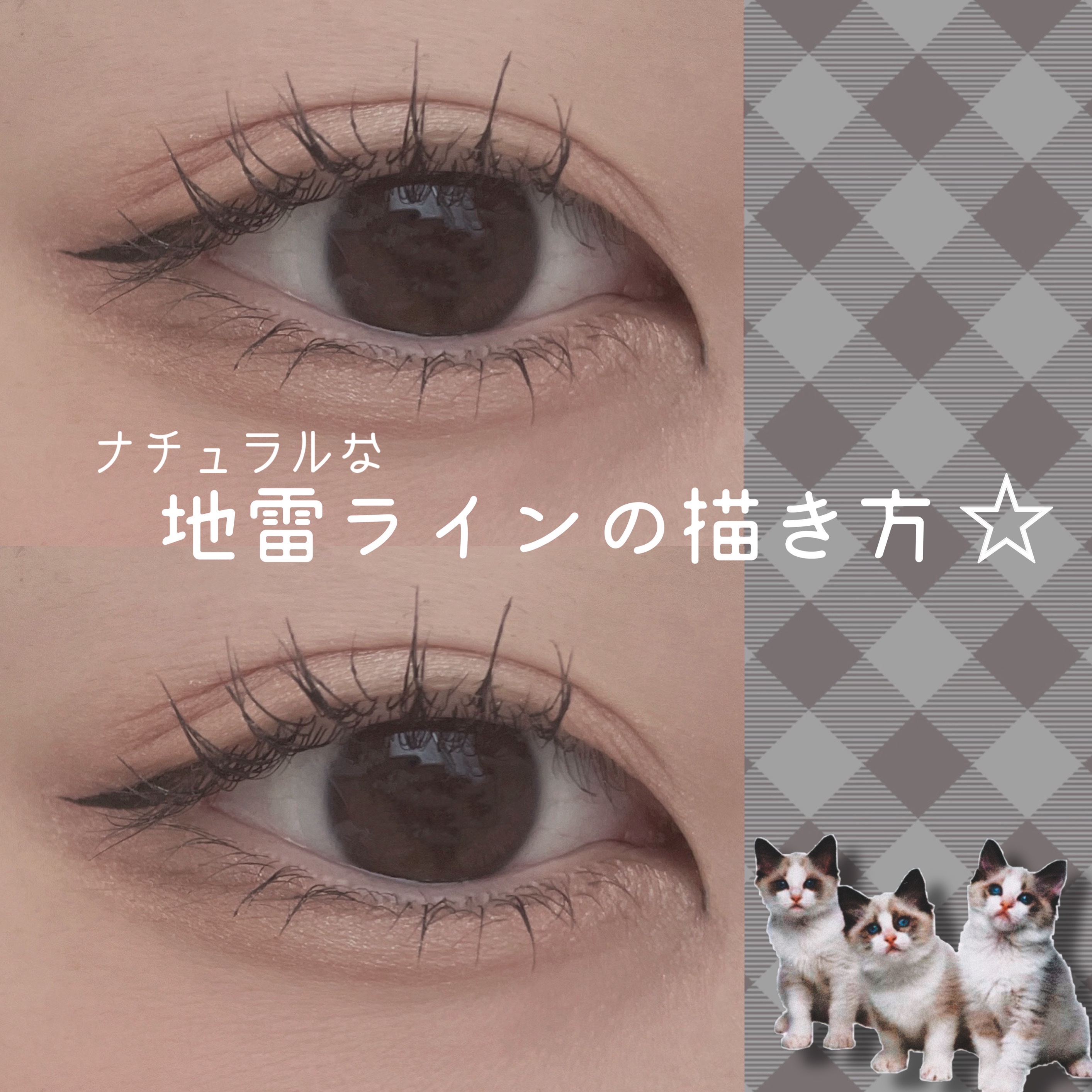 パーフェクトマルチアイズ/キャンメイク/アイシャドウパレットを使ったクチコミ（1枚目）