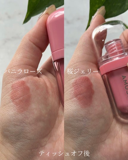 ジェルフィットティント/AMUSE/リップティントを使ったクチコミ(5枚目)