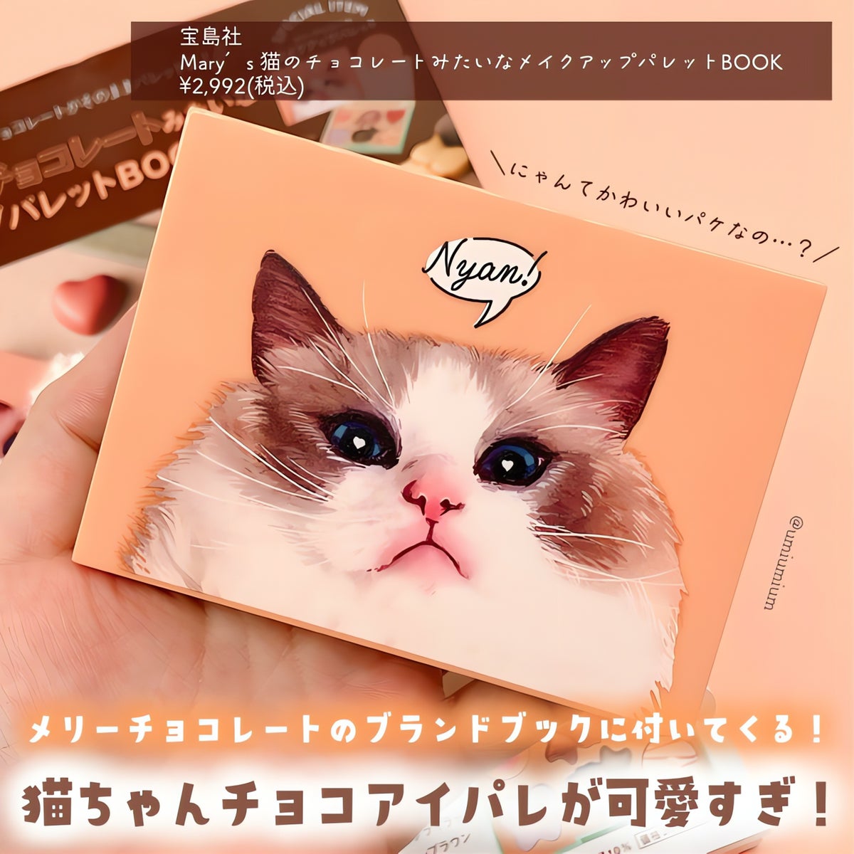 試してみた】Mary's 猫のチョコレートみたいなメイクアップパレット