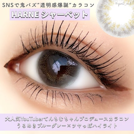 Angelcolor Bambi Series Vintage 1day/AngelColor/ワンデー(1DAY)カラコンを使ったクチコミ(4枚目)