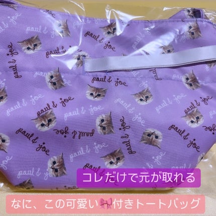 シースルー ヴェール コンパクト/PAUL & JOE BEAUTE/ファンデーションを使ったクチコミ(3枚目)