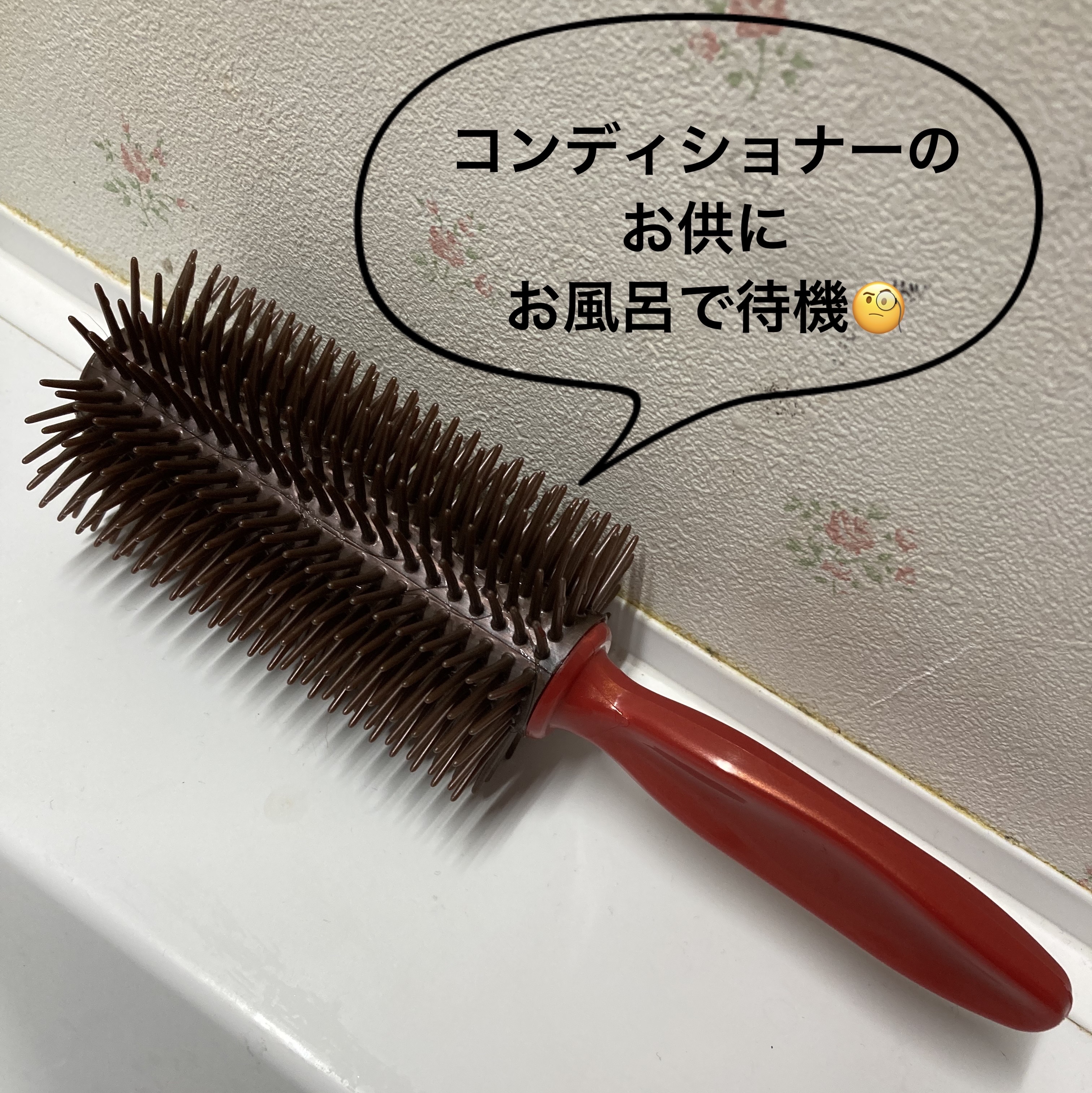 椿ロールブラシ/DAISO/ヘアブラシを使ったクチコミ（1枚目）