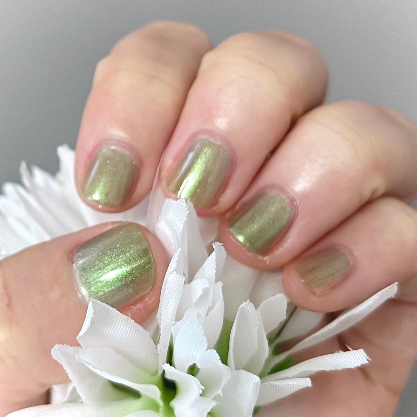 ミニネイル/パラドゥ/マニキュアを使ったクチコミ(1枚目)