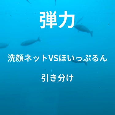 ホワイト洗顔クリーム/雪肌粋/洗顔フォームを使ったクチコミ（4枚目）