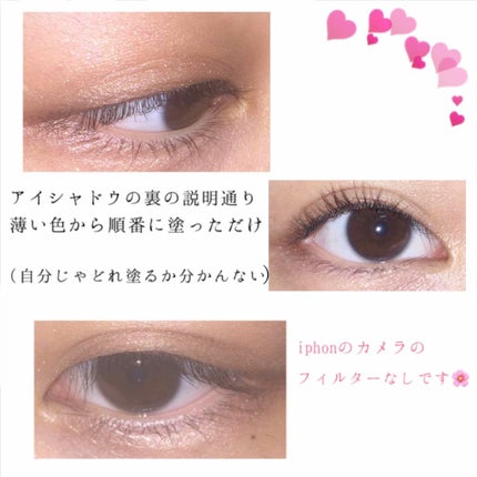 スキニーリッチシャドウ/excel/アイシャドウパレットを使ったクチコミ(3枚目)