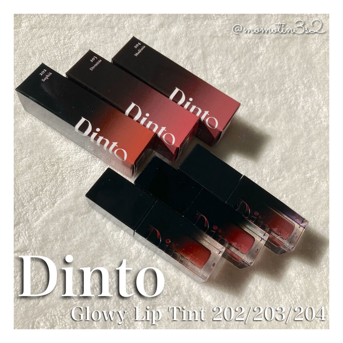 ブラーグロイリップティント/Dinto/リップティントを使ったクチコミ(1枚目)