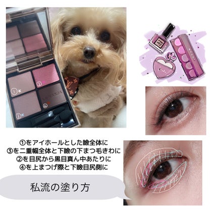 アイカラーレーション/LUNASOL/アイシャドウパレットを使ったクチコミ(2枚目)